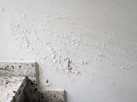 ¿Cuál es la mejor época para impermeabilizar una vivienda?